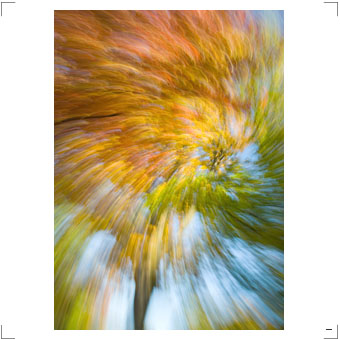 Fotografie Blumen und Stills